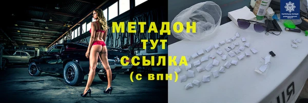 гашик Алексин