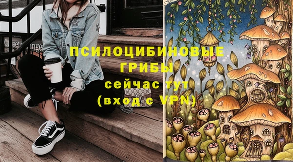 прущий лед Алзамай