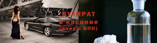 гашик Алексин