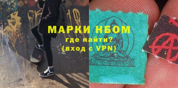 гашик Алексин