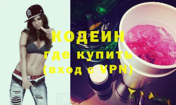 гашик Алексин