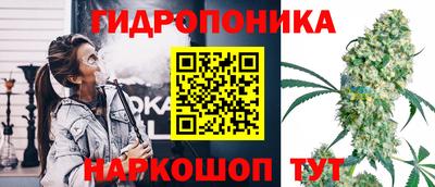 стафф Аргун