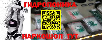 стафф Аргун