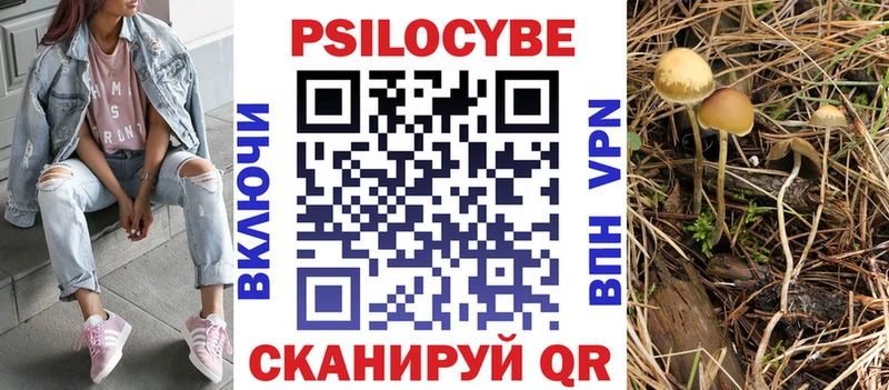 дарнет шоп  Апшеронск  Псилоцибиновые грибы Cubensis 
