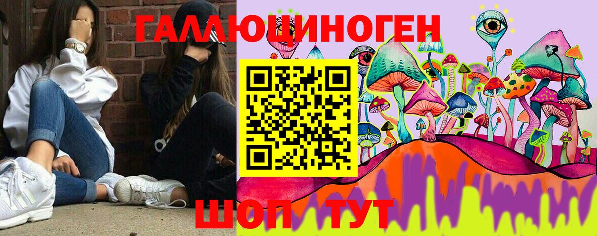 Апшеронск  Галлюциногенные грибы Psilocybine cubensis  Вход с VPN 